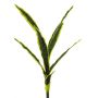 Plante succulente décorative Sansevieria SUNLIN sur piquet, vert-jaune, 60cm