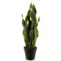Succulente artificielle Sansevieria ANQING en pot décoratif, vert-jaune, 50cm