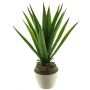 Succulente décorative Aloe Vera SHURUI, pot en céramique, vert, 45cm