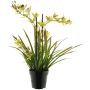 Fleur artificielle orchidée Cymbidum XINGUI, vert-rouge, 70cm