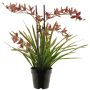 Fleur artificielle orchidée Cymbidum XINGUI, rouge foncé, 70cm