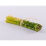 Asperges vertes artificielles ONRIE, 23cm, Ø8cm