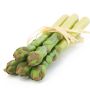 Asperges vertes artificielles ONRIE, 23cm, Ø8cm