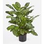 Faux calathea BADU, petit, vert-jaune, 80cm