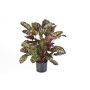 Calathea artificiel BIJAN, petit, vert-rouge, 80cm