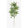 Branche de podocarpus artificielle CHIKO, vert, 50cm