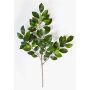 Branche de ficus synthétique AJITH, vert, 45cm
