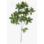 Fausse branche d'euonymus japonicus SACHIKO, vert, 55cm