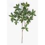 Fausse branche d'euonymus japonicus SACHIKO, vert-blanc, 55cm