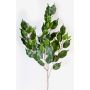 Branche de ficus synthétique SUNIL, vert, 75cm