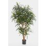 Faux dracaena Reflexa Anita KATARA, vrais troncs, vert, 120cm