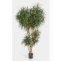 Faux dracaena Reflexa Anita KATARA, vrais troncs, vert, 150cm
