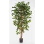 Faux ficus benjamina AVELLINO, vrais troncs, vert, 120cm