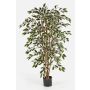 Faux ficus benjamina AVELLINO, vrais troncs, vert-blanc, 120cm