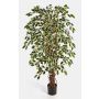 Faux ficus benjamina JARLAN, vrais troncs, vert-blanc, 150cm