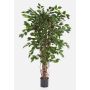 Ficus benjamina artificiel AMELIO, troncs naturels, vert, 180cm