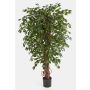 Faux ficus benjamina DAKU, troncs naturels, vert, 120cm