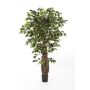 Faux ficus benjamina PHIPSO, vrais troncs, vert, 180cm