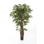 Faux ficus benjamina PHIPSO, vrais troncs, vert, 330cm