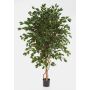 Ficus benjamina artificiel DAMINO, vrais troncs, vert, 150cm