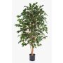 Ficus benjamina artificiel THIAGO, troncs naturels, vert, 120cm