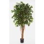 Ficus benjamina artificiel AURIOL, vrais troncs, vert, 210cm