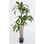 Faux dracaena Fragrans LAURA, vrais troncs, vert, 150cm