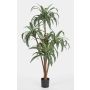 Faux dracaena Fragrans JALA, vrais troncs, vert-blanc, 150cm
