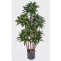 Faux dracaena Fragrans DOMINGO, vrais troncs, vert, 120cm