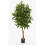 Longifolia synthétique AVERY, troncs naturels, vert, 155cm