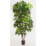 Schefflera synthétique COOPER, vrais troncs, vert, 190cm