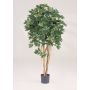 Schefflera artificiel SIENNA, vrais troncs, vert, 140cm