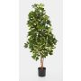 Schefflera synthétique SAMANTHA, vrais troncs, vert-blanc, 170cm