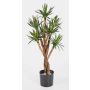 Agave artificiel AVAN, tronc naturel, vert, 70cm
