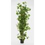 Pied de vigne artificiel NIKA, troncs naturels, vert, 100cm
