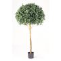 Laurier artificiel SOKRATES, tronc naturel, vert, 170cm, Ø90cm