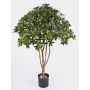 Faux euonymus japonicus RIKU, vrais troncs, vert-blanc, 120cm, Ø100cm