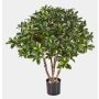 Faux euonymus japonicus RIKU, vrais troncs, vert-blanc, 75cm, Ø75cm