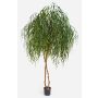 Saule artificiel TAMARA, troncs naturels, vert, 240cm