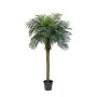 Faux palmier Phoenix CAMILA, 180cm