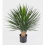 Faux Yucca Rostrata RAFFAELA, 80cm