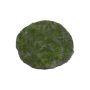 Tapis rond en mousse de feuillage artificiel FANGYU, vert, Ø30cm