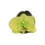 Fleurs décoratives d'orchidée Phalaenopsis CALIN, 6 pièces, flottantes, vert, 11cm