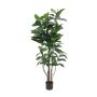 Plante artificielle Caoutchouc VICA, troncs artificiels, vert, 150cm