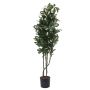 Schefflera en plastique PAMINA, faux troncs, vert-blanc, 120cm