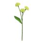 Fleur décorative Oeillet d'Inde YISHU, vert clair, 30cm