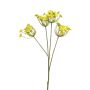 Branche décorative Fleurs d'aneth LITIAN, jaune, 70cm