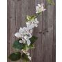 Tige de bougainvillier en tissu JOCY avec fleurs, blanc-rose, 75cm