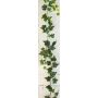 Guirlande de lierre artificiel DEXTER, vert, 180cm