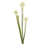 Succulente artificielle Sarracenia SIMANA sur tige, blanc-vert, 65 cm